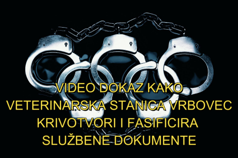 Kako veterinarska stanica vrbovec fasificira dokumente