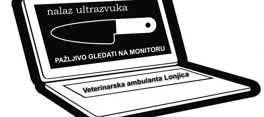 Nalaz ultrazvuka Veterinarske ambulante Lonjica